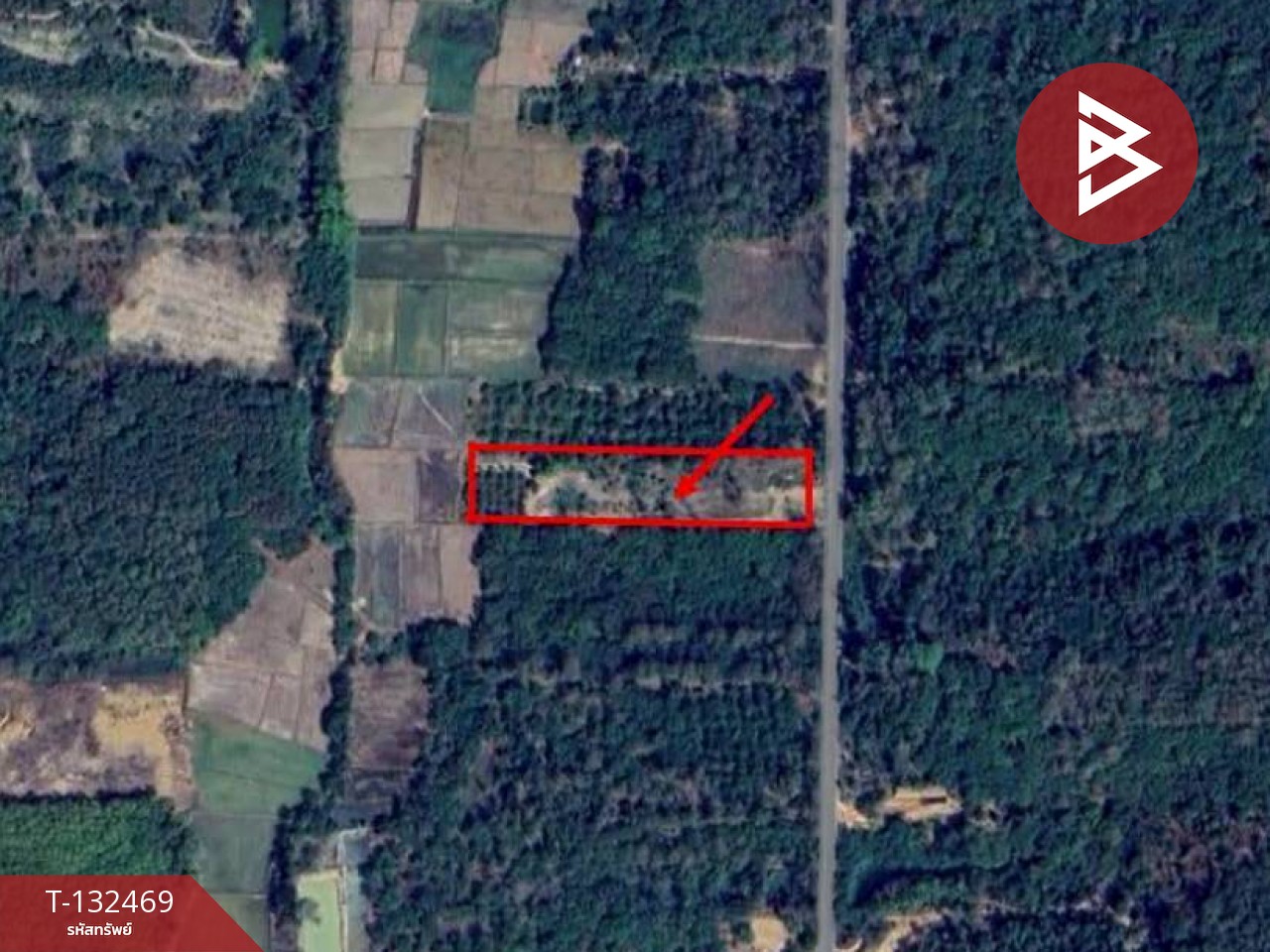 ขายที่ดิน เนื้อที่ 4 ไร่ ท่าปลา อุตรดิตถ์ 15