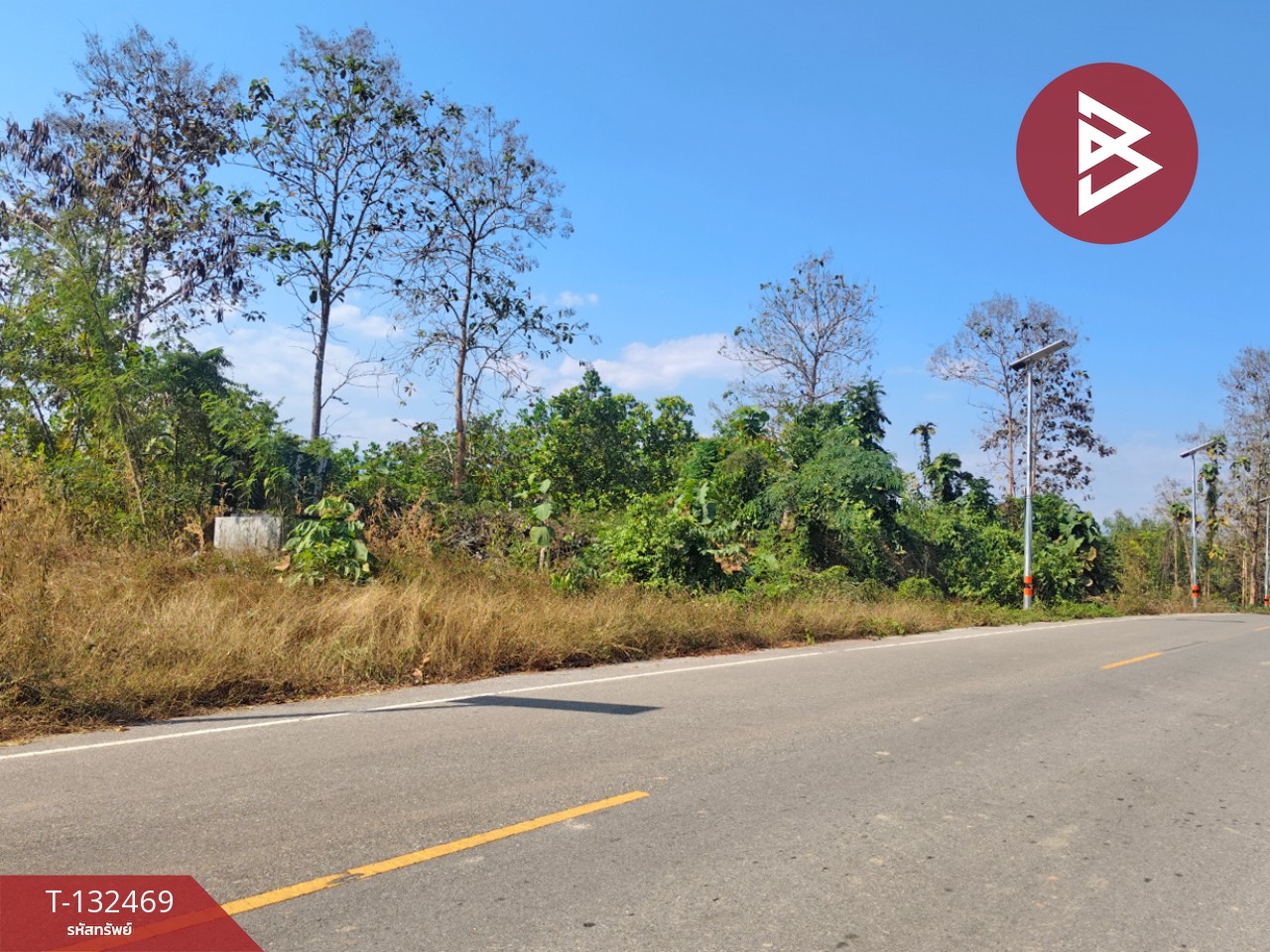 ขายที่ดิน เนื้อที่ 4 ไร่ ท่าปลา อุตรดิตถ์ 10