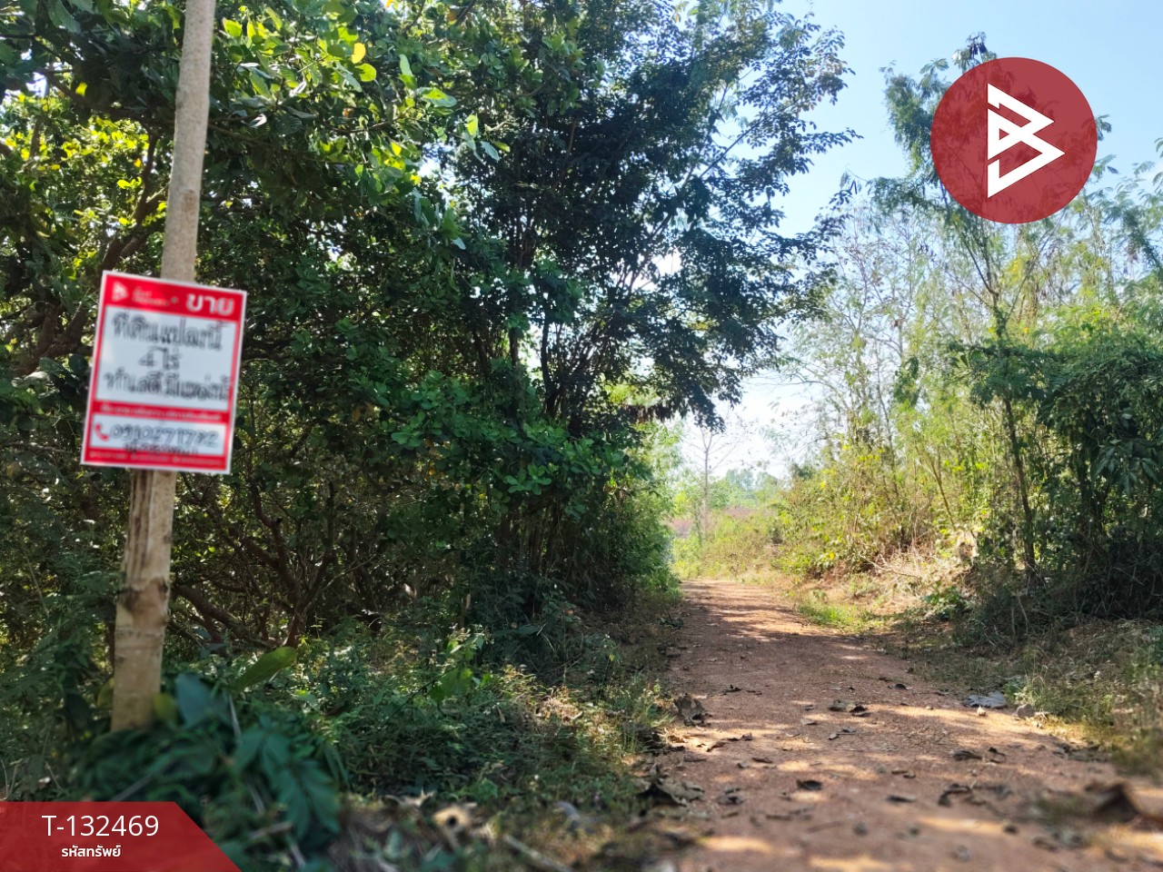 ขายที่ดิน เนื้อที่ 4 ไร่ ท่าปลา อุตรดิตถ์ 12