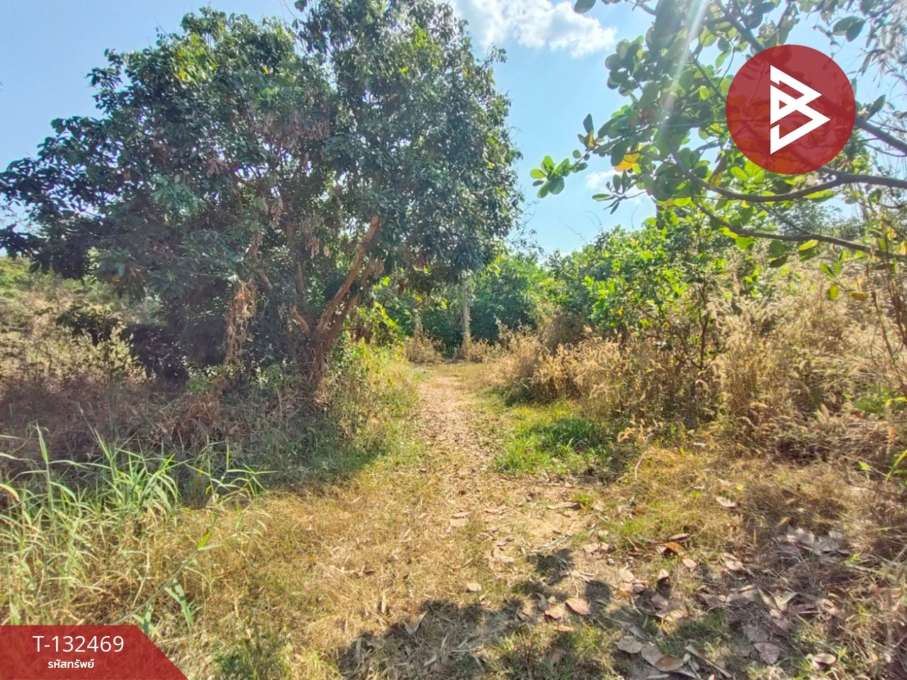 ขายที่ดิน เนื้อที่ 4 ไร่ ท่าปลา อุตรดิตถ์ 4