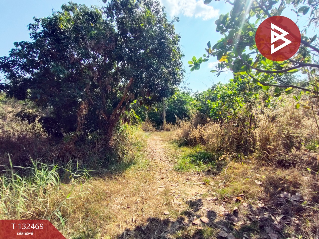 ขายที่ดิน เนื้อที่ 4 ไร่ ท่าปลา อุตรดิตถ์ 13