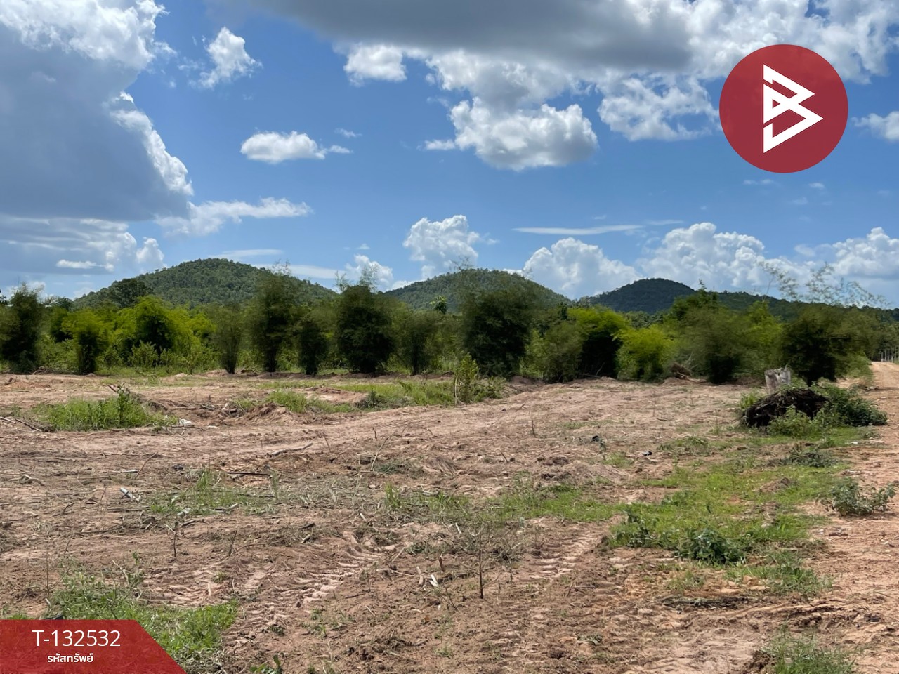 ขายที่ดิน เนื้อที่ 8 ไร่ ท่ายาง เพชรบุรี 1