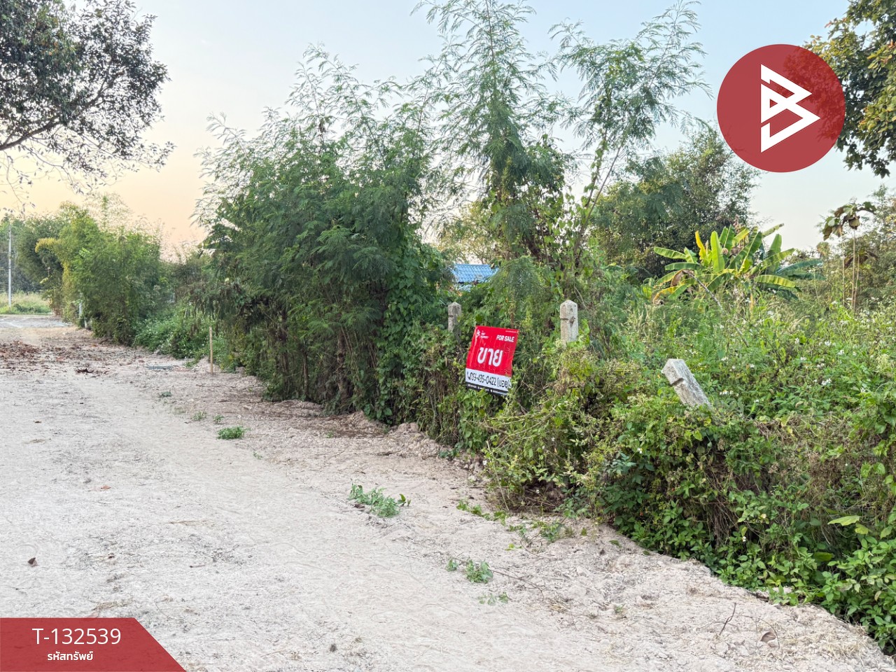 ขายที่ดิน แบ่งขาย เนื้อที่ 1 ไร่ สันทราย เชียงใหม่ 3