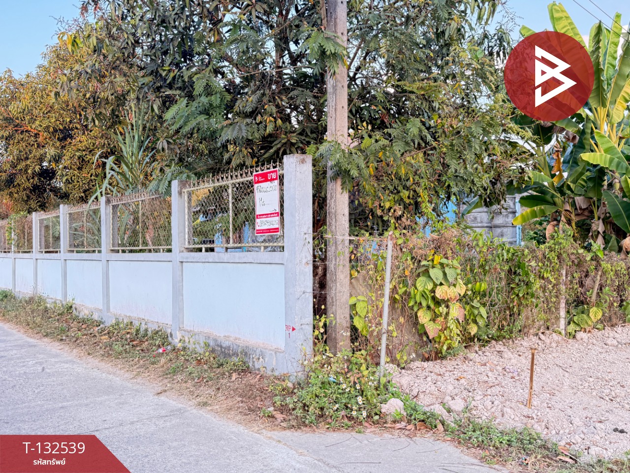 ขายที่ดิน แบ่งขาย เนื้อที่ 1 ไร่ สันทราย เชียงใหม่ 4