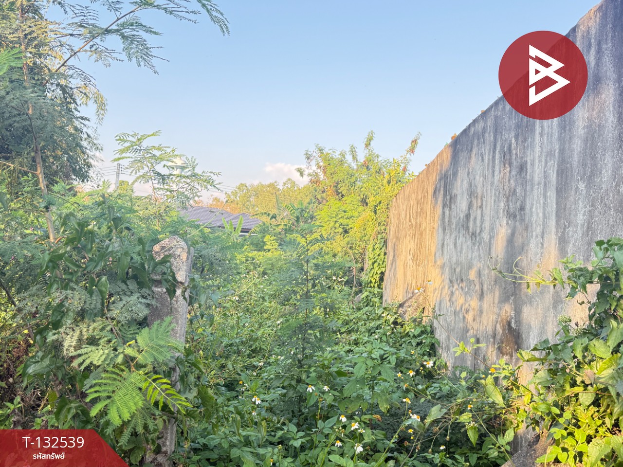 ขายที่ดิน แบ่งขาย เนื้อที่ 1 ไร่ สันทราย เชียงใหม่ 6