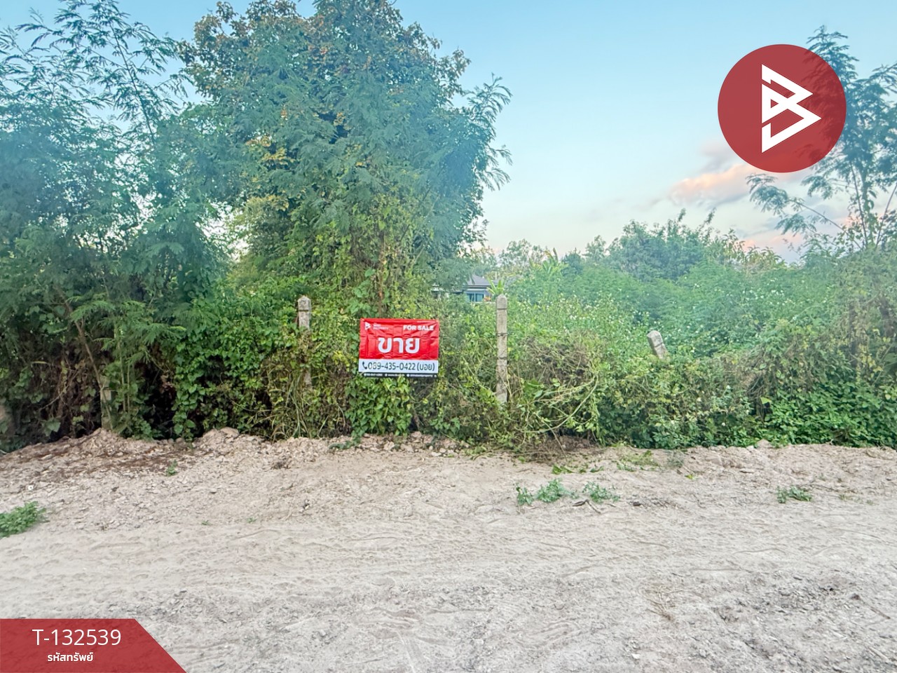 ขายที่ดิน แบ่งขาย เนื้อที่ 1 ไร่ สันทราย เชียงใหม่ 1