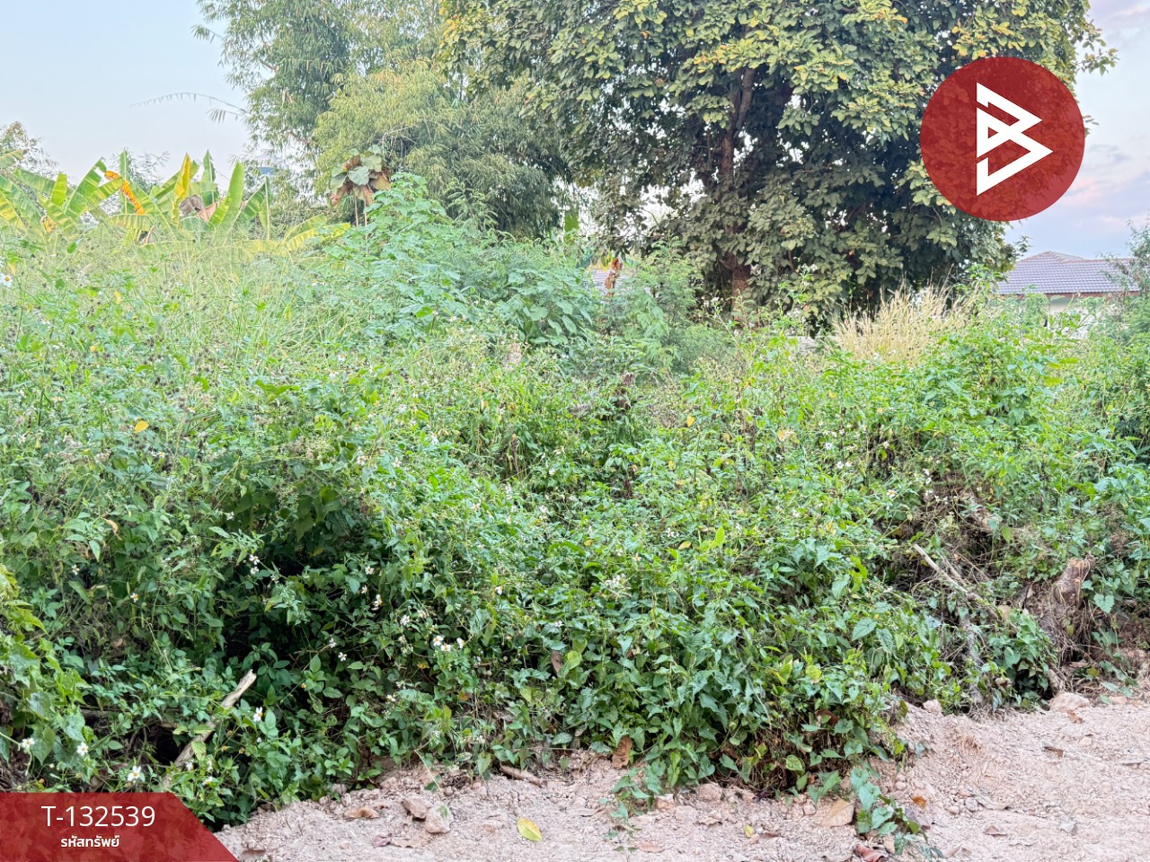 ขายที่ดิน แบ่งขาย เนื้อที่ 1 ไร่ สันทราย เชียงใหม่ 5