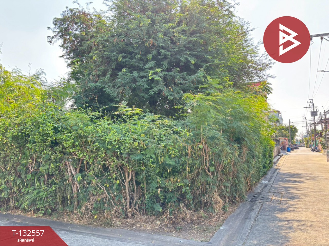 ขายที่ดิน เนื้อที่ 68 ตร.วา บางขุนเทียน กรุงเทพมหานคร 11