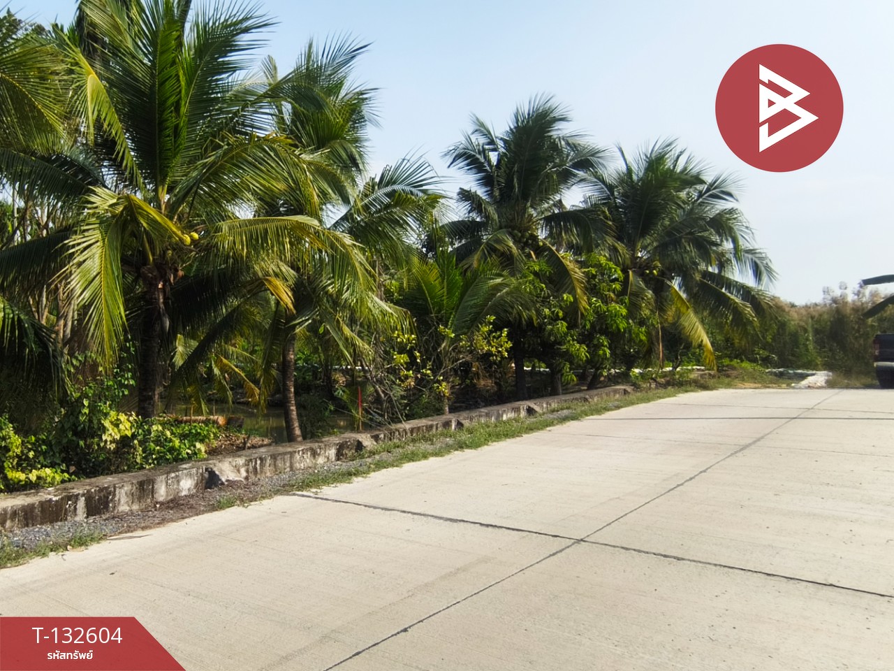 ขายที่ดินสวนมะพร้าว เนื้อที่ 200 ตารางวา สามพราน นครปฐม 11