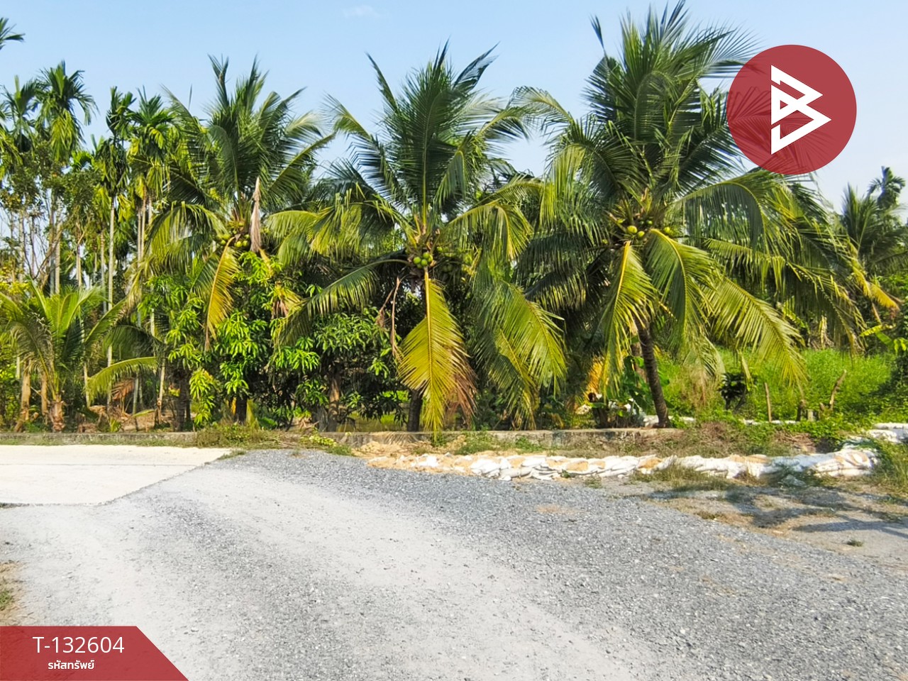 ขายที่ดินสวนมะพร้าว เนื้อที่ 200 ตารางวา สามพราน นครปฐม 1