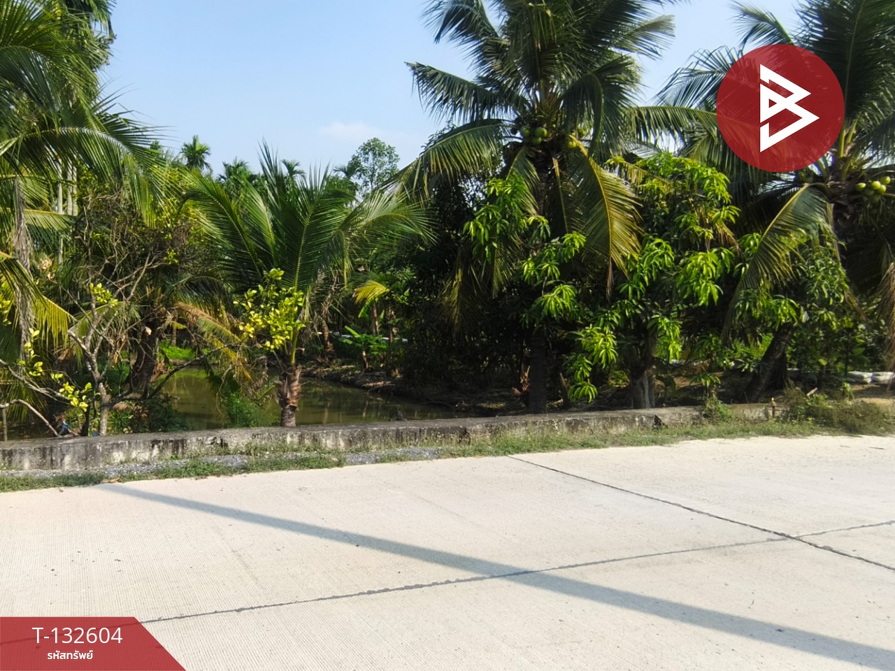 ขายที่ดินสวนมะพร้าว เนื้อที่ 200 ตารางวา สามพราน นครปฐม 9