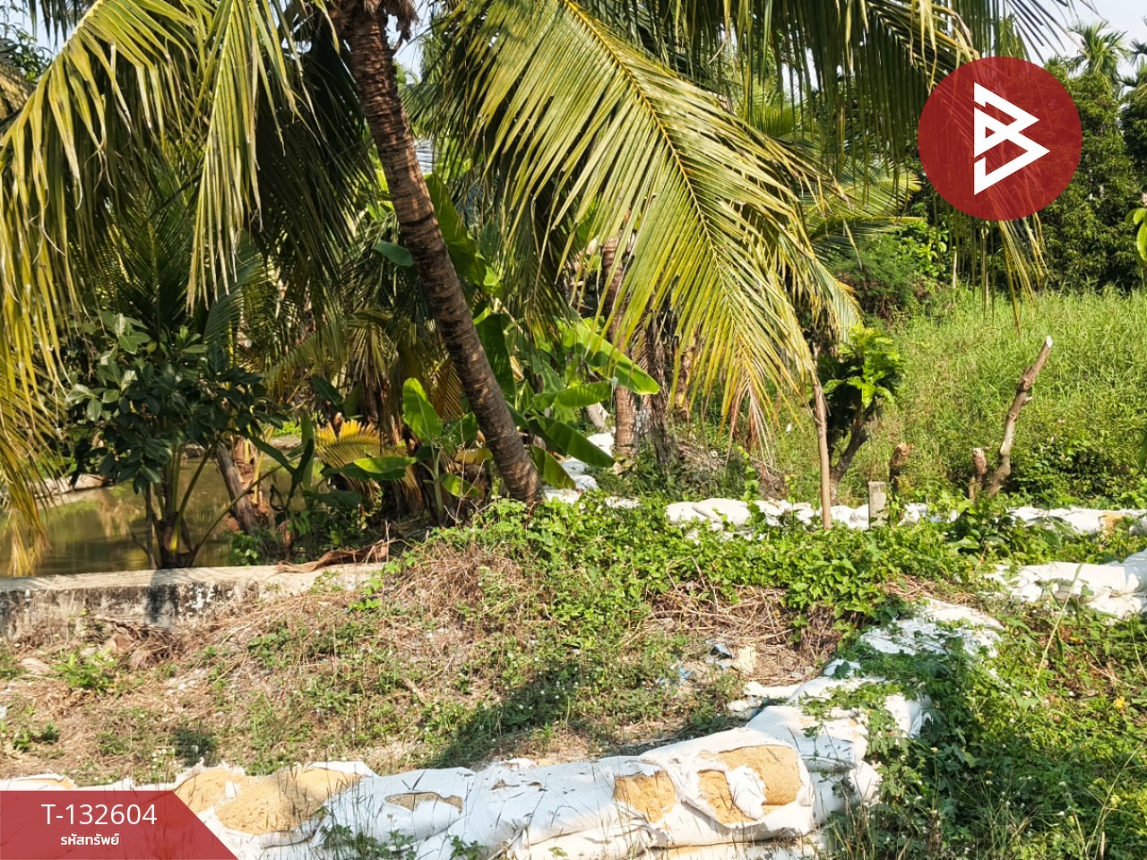 ขายที่ดินสวนมะพร้าว เนื้อที่ 200 ตารางวา สามพราน นครปฐม 4