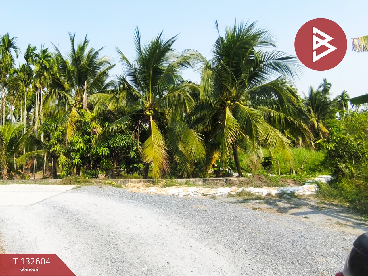 ขายที่ดินสวนมะพร้าว เนื้อที่ 200 ตารางวา สามพราน นครปฐม 8