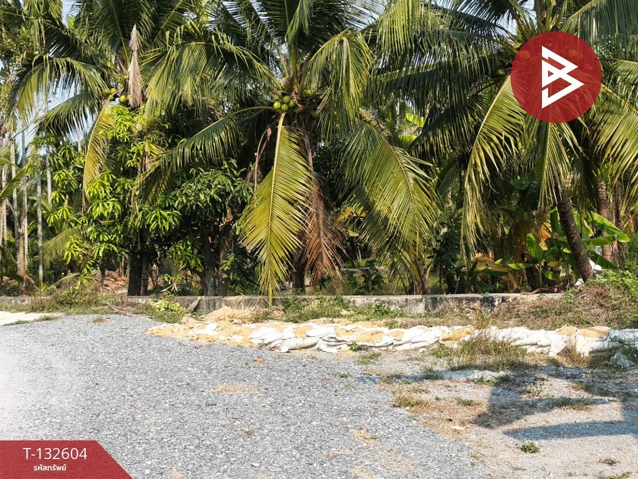 ขายที่ดินสวนมะพร้าว เนื้อที่ 200 ตารางวา สามพราน นครปฐม 3