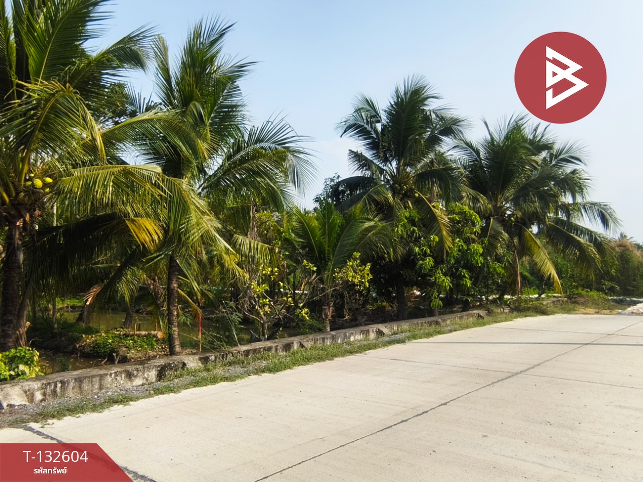 ขายที่ดินสวนมะพร้าว เนื้อที่ 200 ตารางวา สามพราน นครปฐม 10