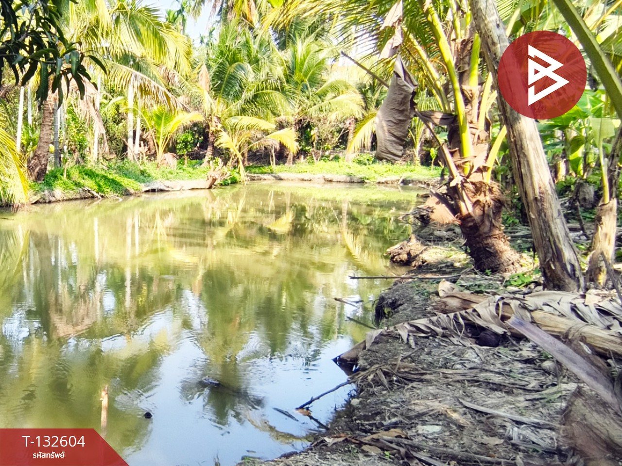 ขายที่ดินสวนมะพร้าว เนื้อที่ 200 ตารางวา สามพราน นครปฐม 6