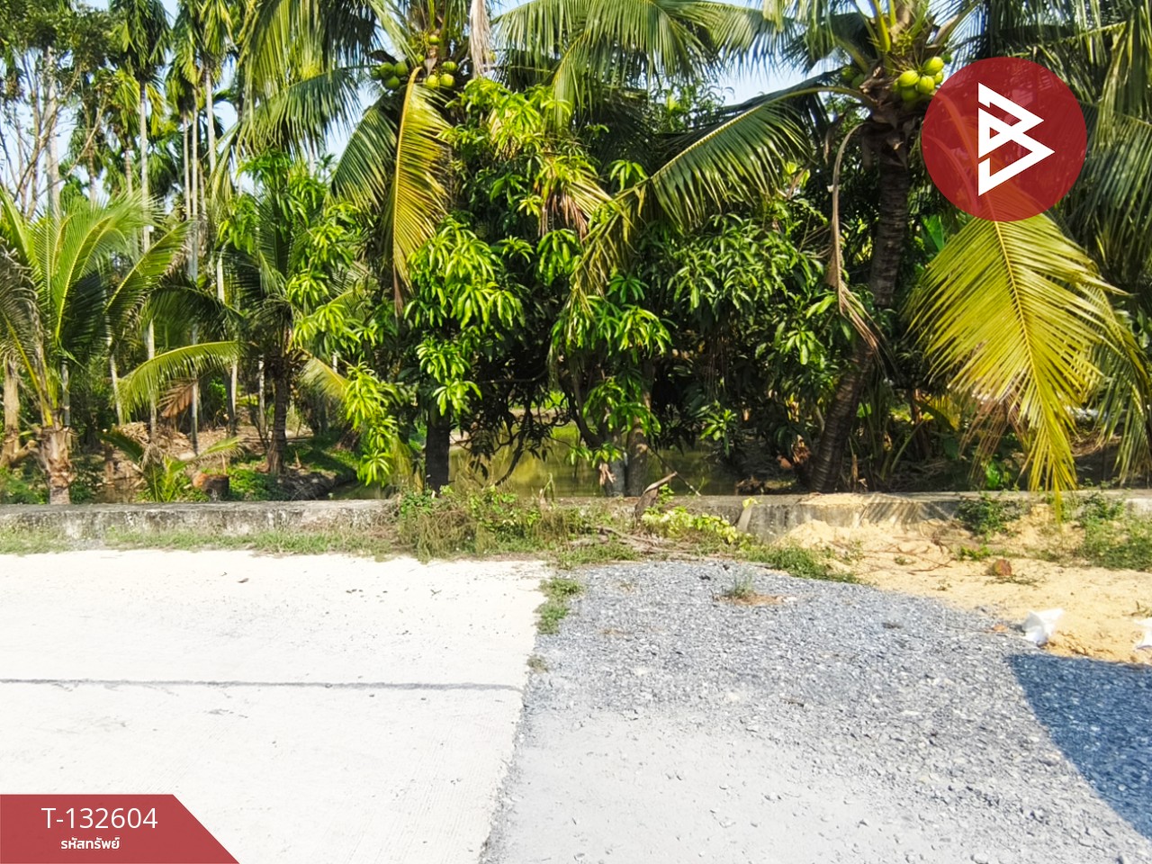 ขายที่ดินสวนมะพร้าว เนื้อที่ 200 ตารางวา สามพราน นครปฐม 5