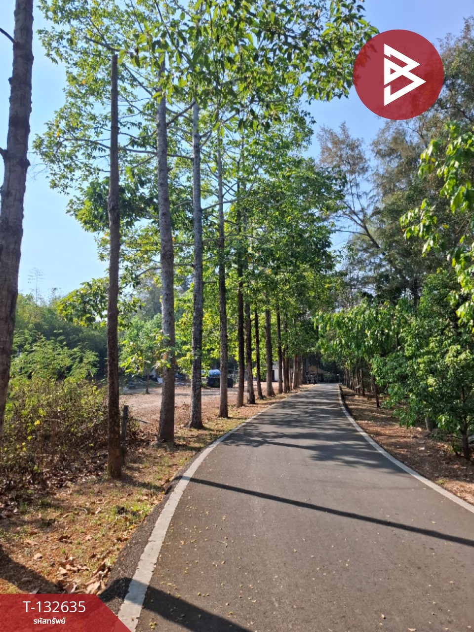 ขายที่ดิน เนื้อที่ 8 ไร่ ท่าใหม่ จันทบุรี ใกล้ทะเลแหลมเสด็จ 5