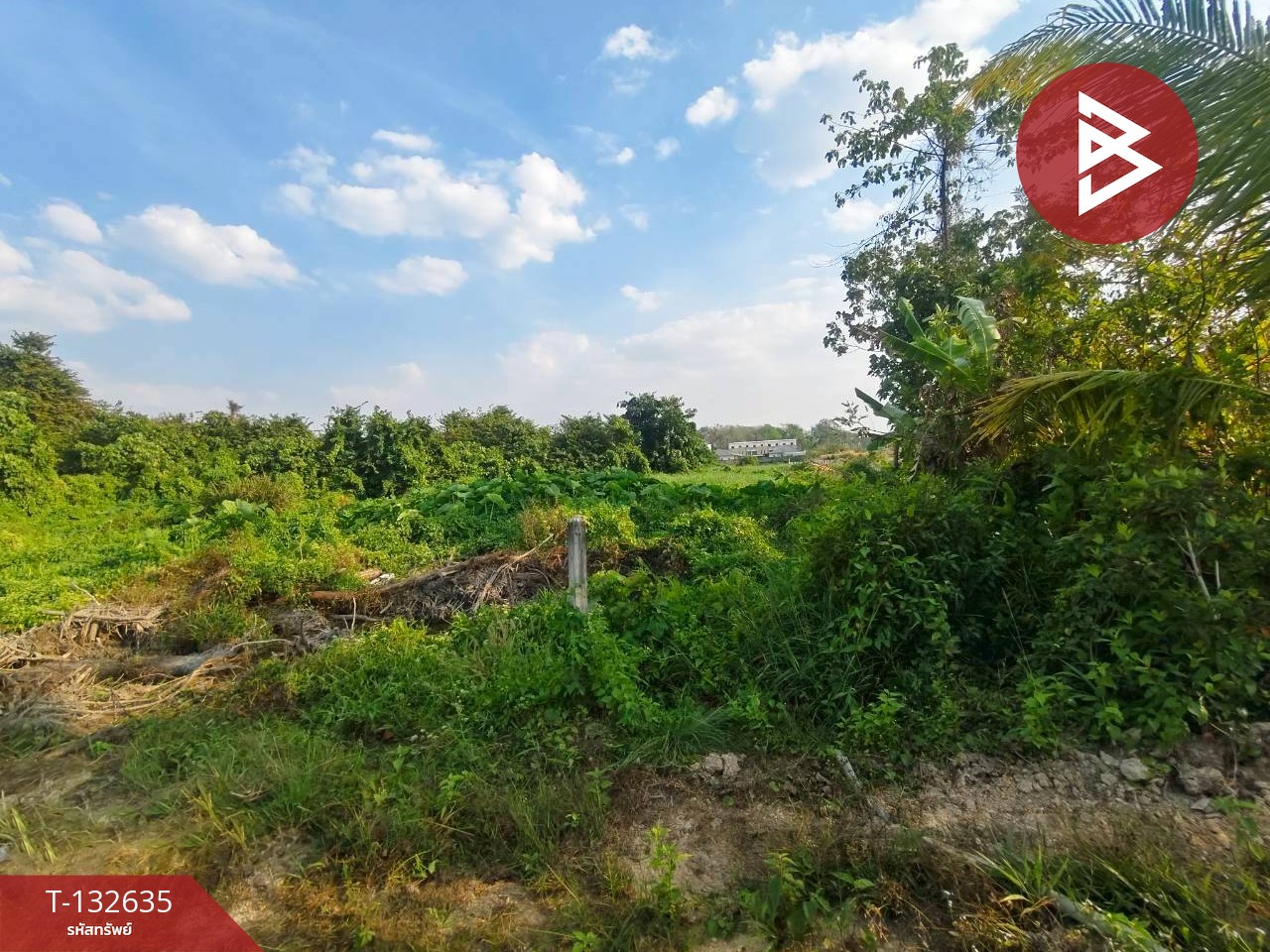 ขายที่ดิน เนื้อที่ 8 ไร่ ท่าใหม่ จันทบุรี ใกล้ทะเลแหลมเสด็จ 3