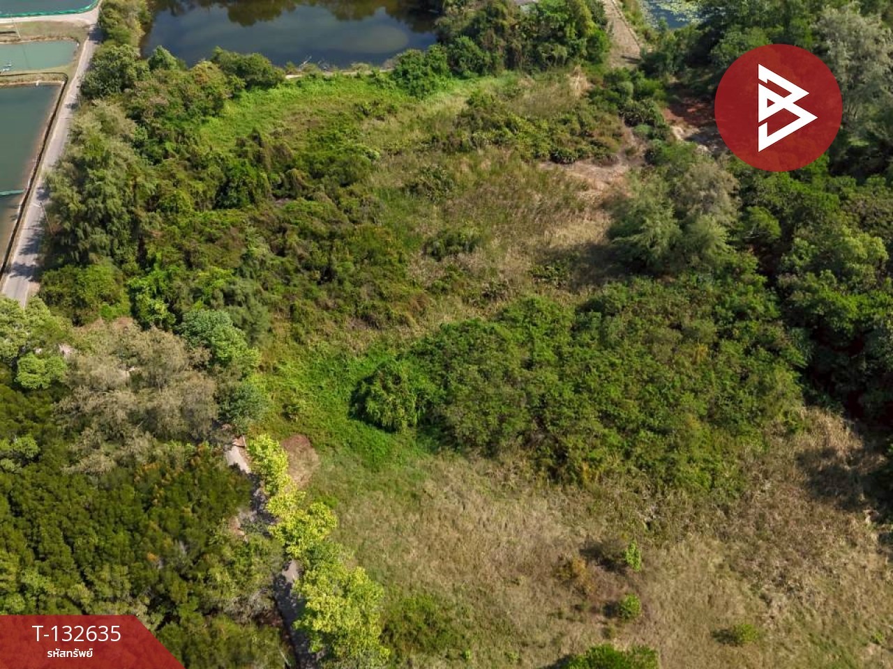 ขายที่ดิน เนื้อที่ 8 ไร่ ท่าใหม่ จันทบุรี ใกล้ทะเลแหลมเสด็จ 4