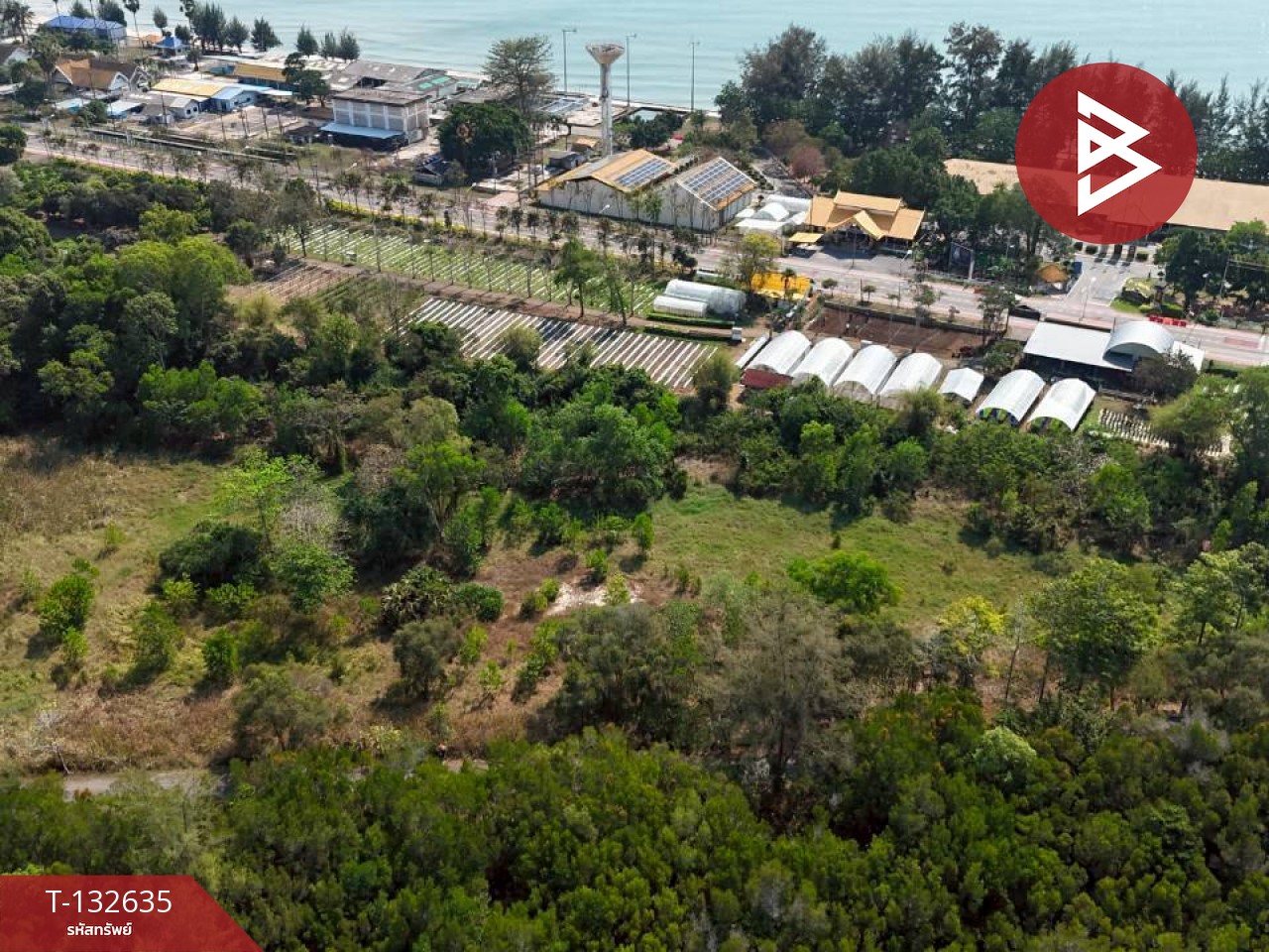 ขายที่ดิน เนื้อที่ 8 ไร่ ท่าใหม่ จันทบุรี ใกล้ทะเลแหลมเสด็จ 2