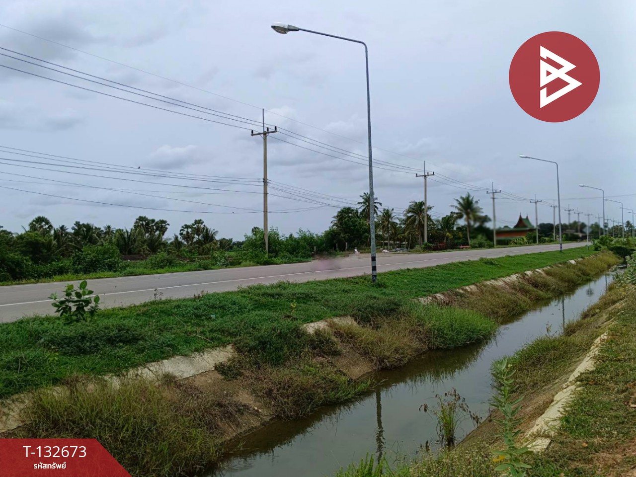 ขายที่ดิน เนื้อที่ 2 ไร่ หนองขนาน เพชรบุรี 7