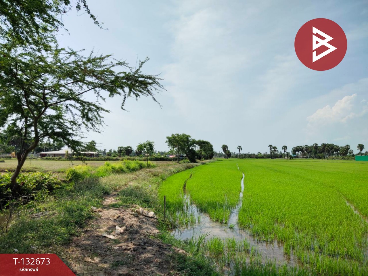 ขายที่ดิน เนื้อที่ 2 ไร่ หนองขนาน เพชรบุรี 2