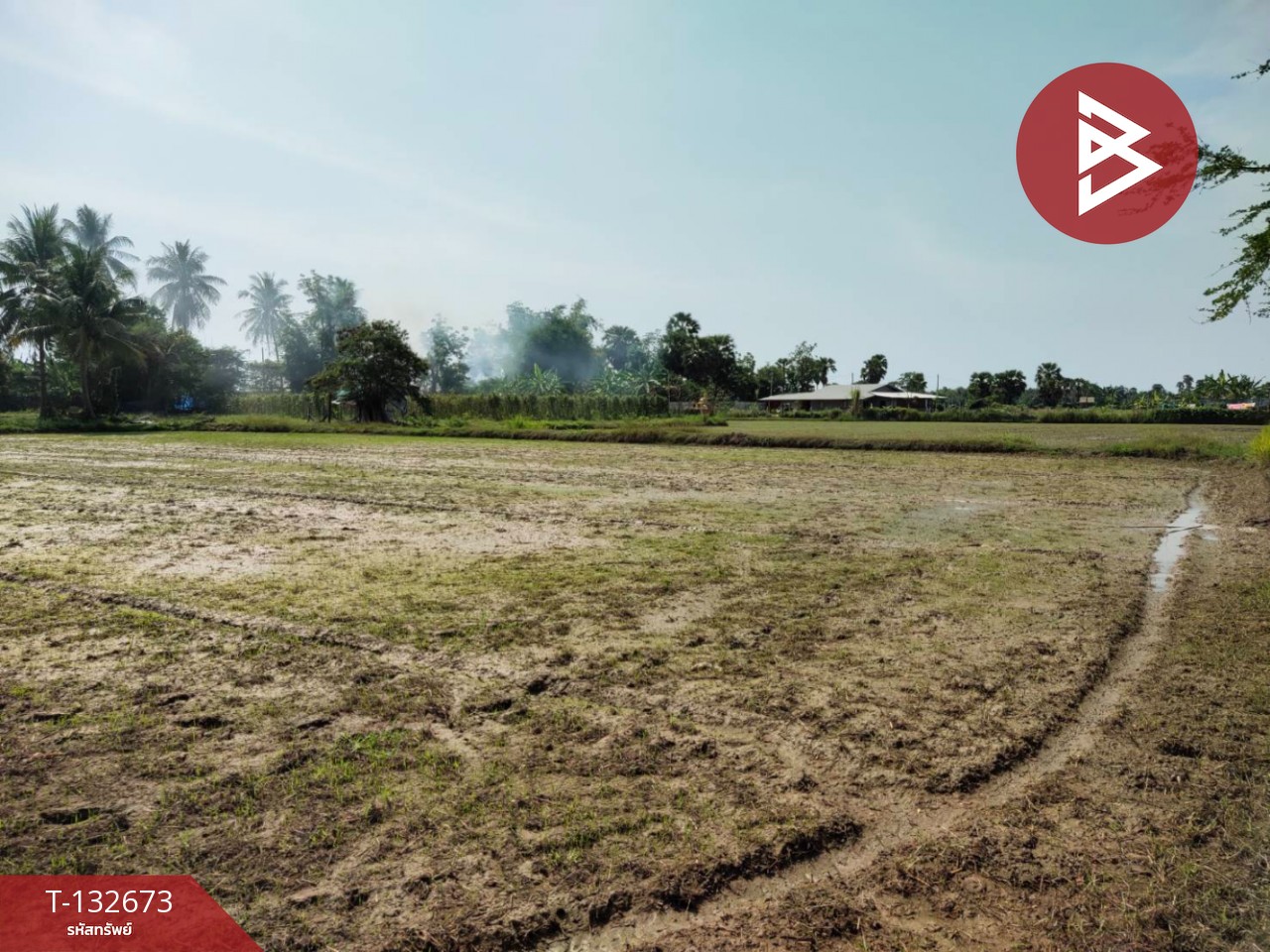 ขายที่ดิน เนื้อที่ 2 ไร่ หนองขนาน เพชรบุรี 1