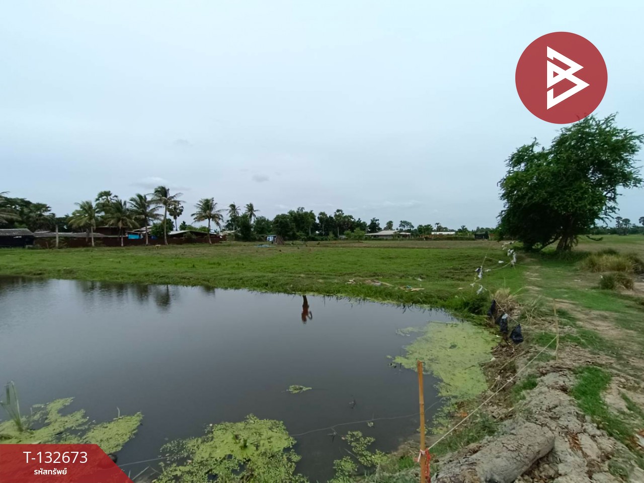 ขายที่ดิน เนื้อที่ 2 ไร่ หนองขนาน เพชรบุรี 6