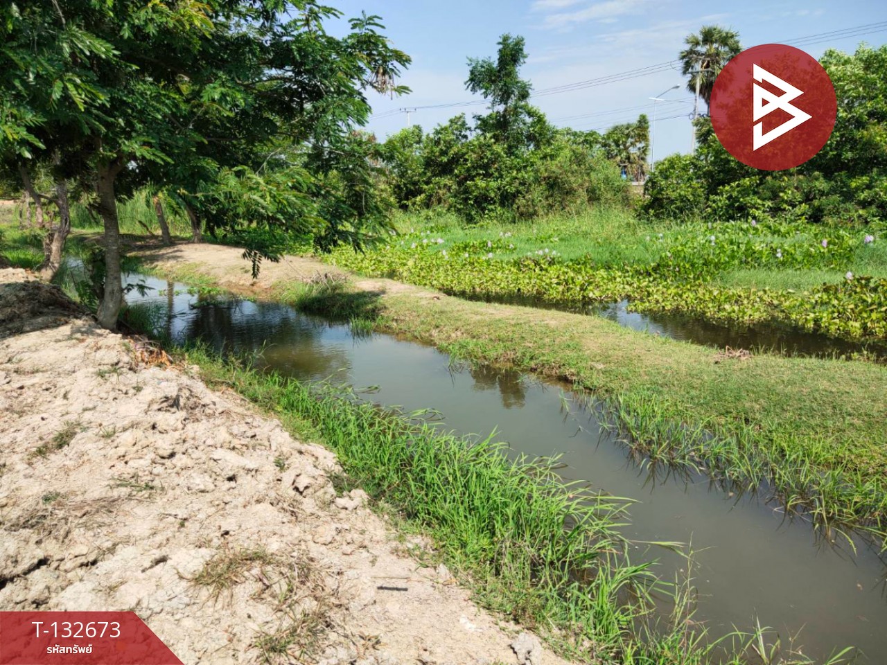 ขายที่ดิน เนื้อที่ 2 ไร่ หนองขนาน เพชรบุรี 3