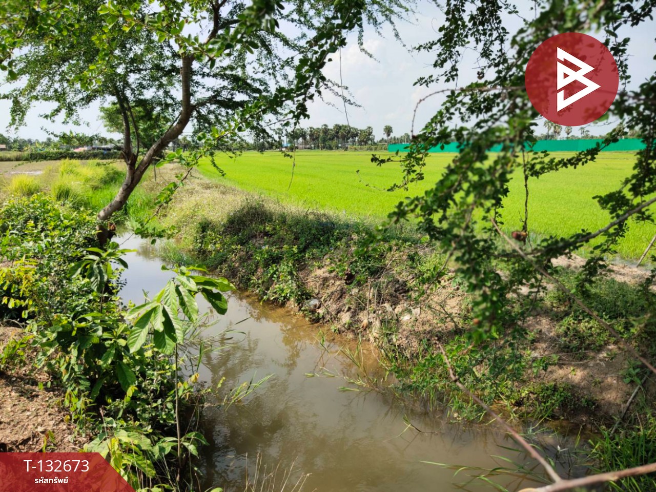 ขายที่ดิน เนื้อที่ 2 ไร่ หนองขนาน เพชรบุรี 4