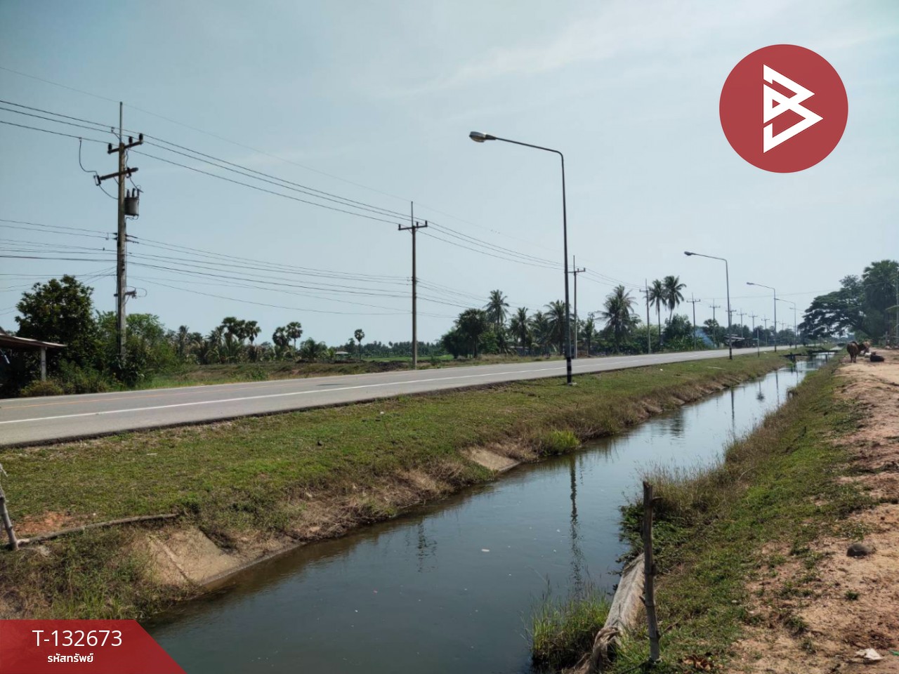 ขายที่ดิน เนื้อที่ 2 ไร่ หนองขนาน เพชรบุรี 8