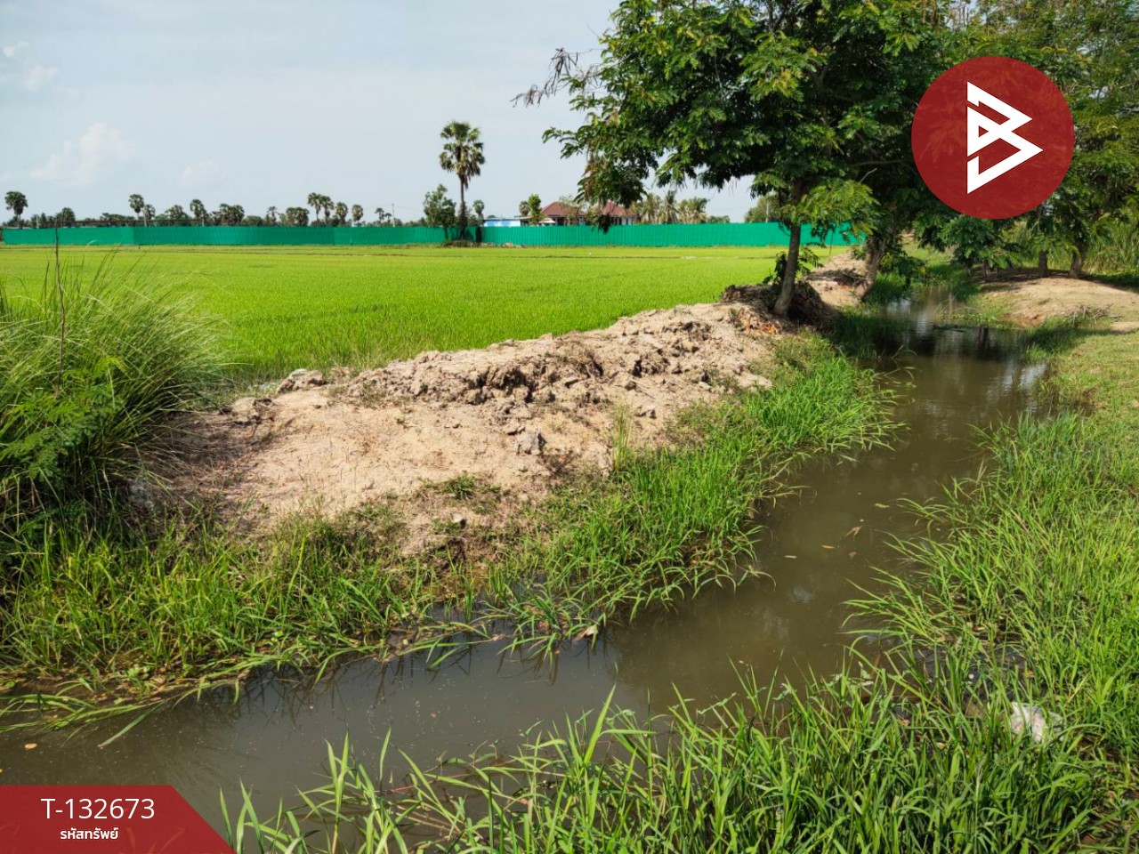 ขายที่ดิน เนื้อที่ 2 ไร่ หนองขนาน เพชรบุรี 5