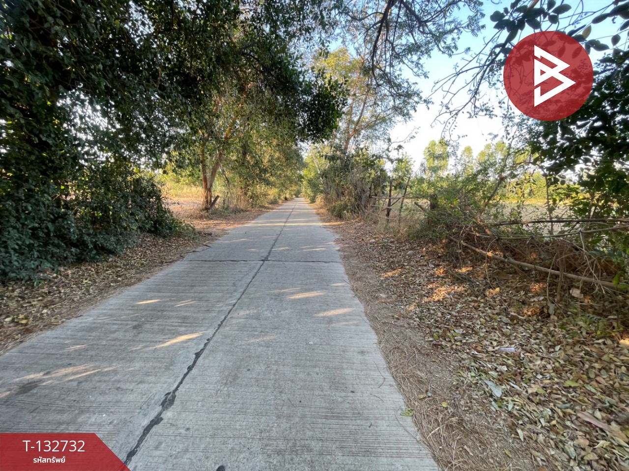 ขายที่ดิน เนื้อที่ 3 ไร่ 3 งาน 96 ตารางวา อ.บ้านไผ่ ขอนแก่น ทำเลดี ติดถนน 2 ด้าน 8