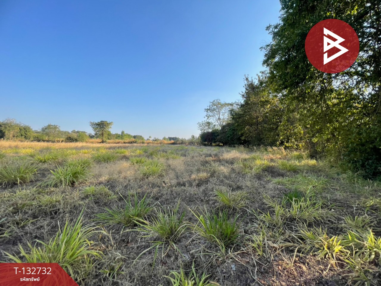 ขายที่ดิน เนื้อที่ 3 ไร่ 3 งาน 96 ตารางวา อ.บ้านไผ่ ขอนแก่น ทำเลดี ติดถนน 2 ด้าน 1