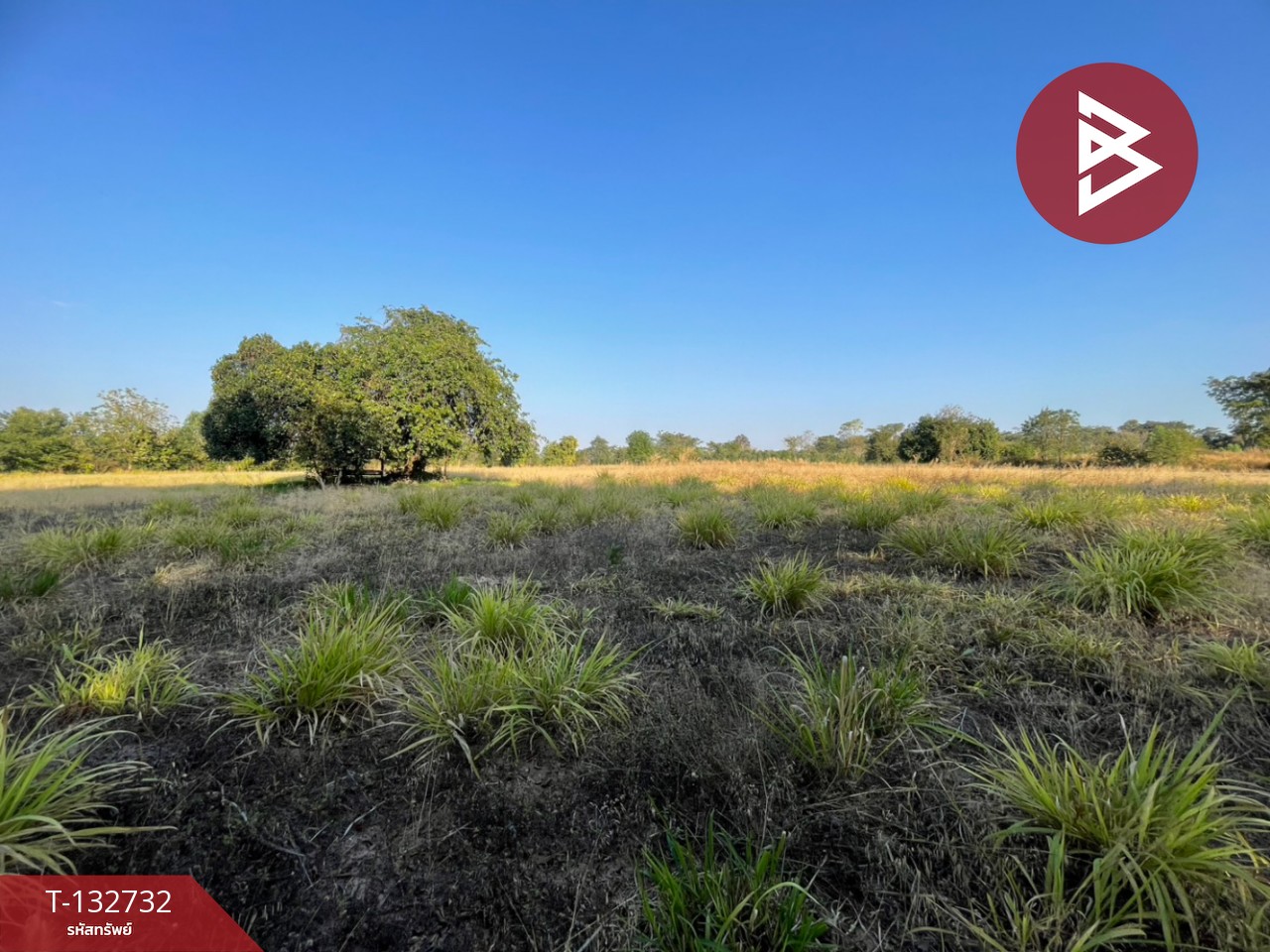 ขายที่ดิน เนื้อที่ 3 ไร่ 3 งาน 96 ตารางวา อ.บ้านไผ่ ขอนแก่น ทำเลดี ติดถนน 2 ด้าน 5