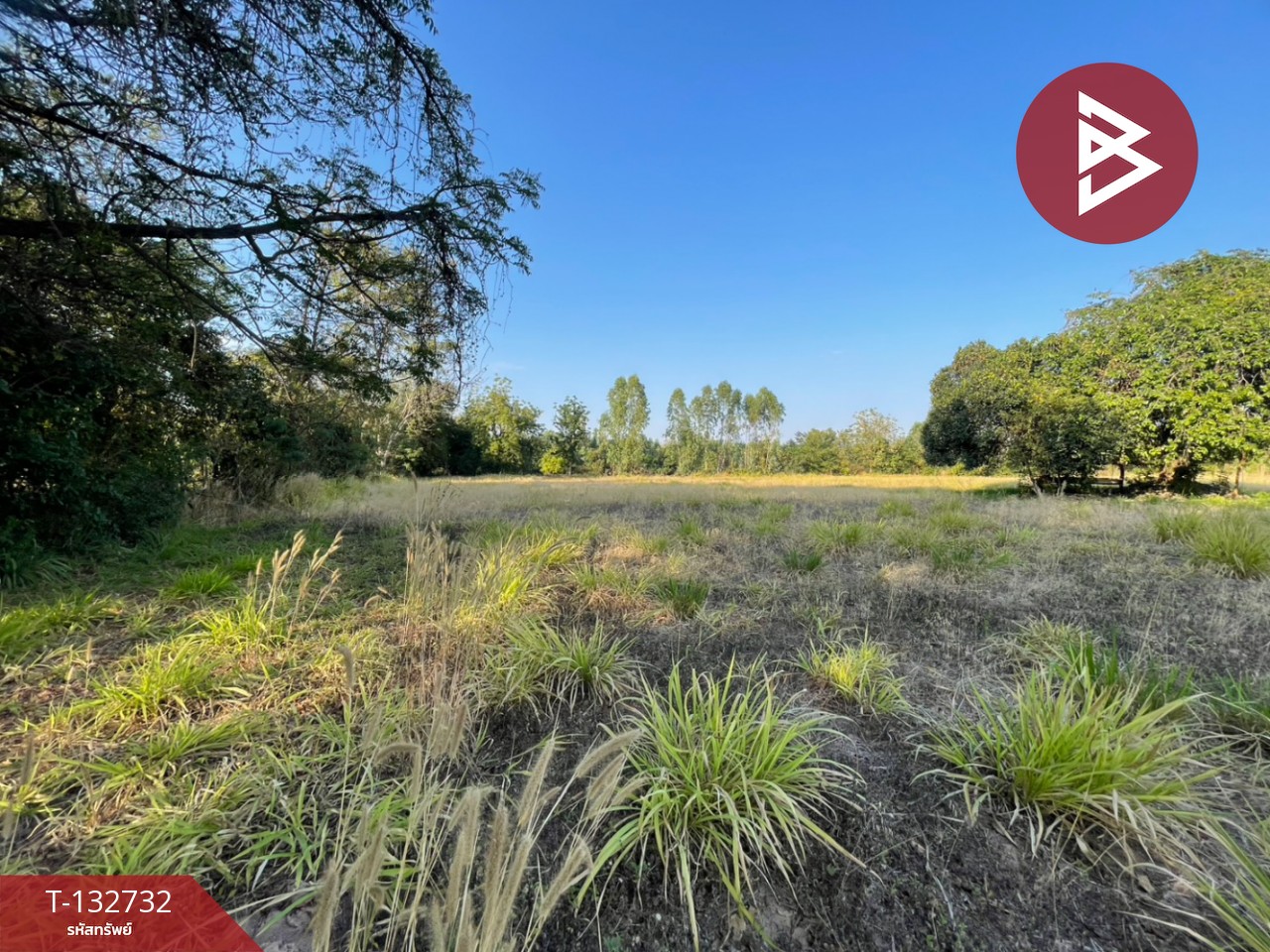 ขายที่ดิน เนื้อที่ 3 ไร่ 3 งาน 96 ตารางวา อ.บ้านไผ่ ขอนแก่น ทำเลดี ติดถนน 2 ด้าน 2