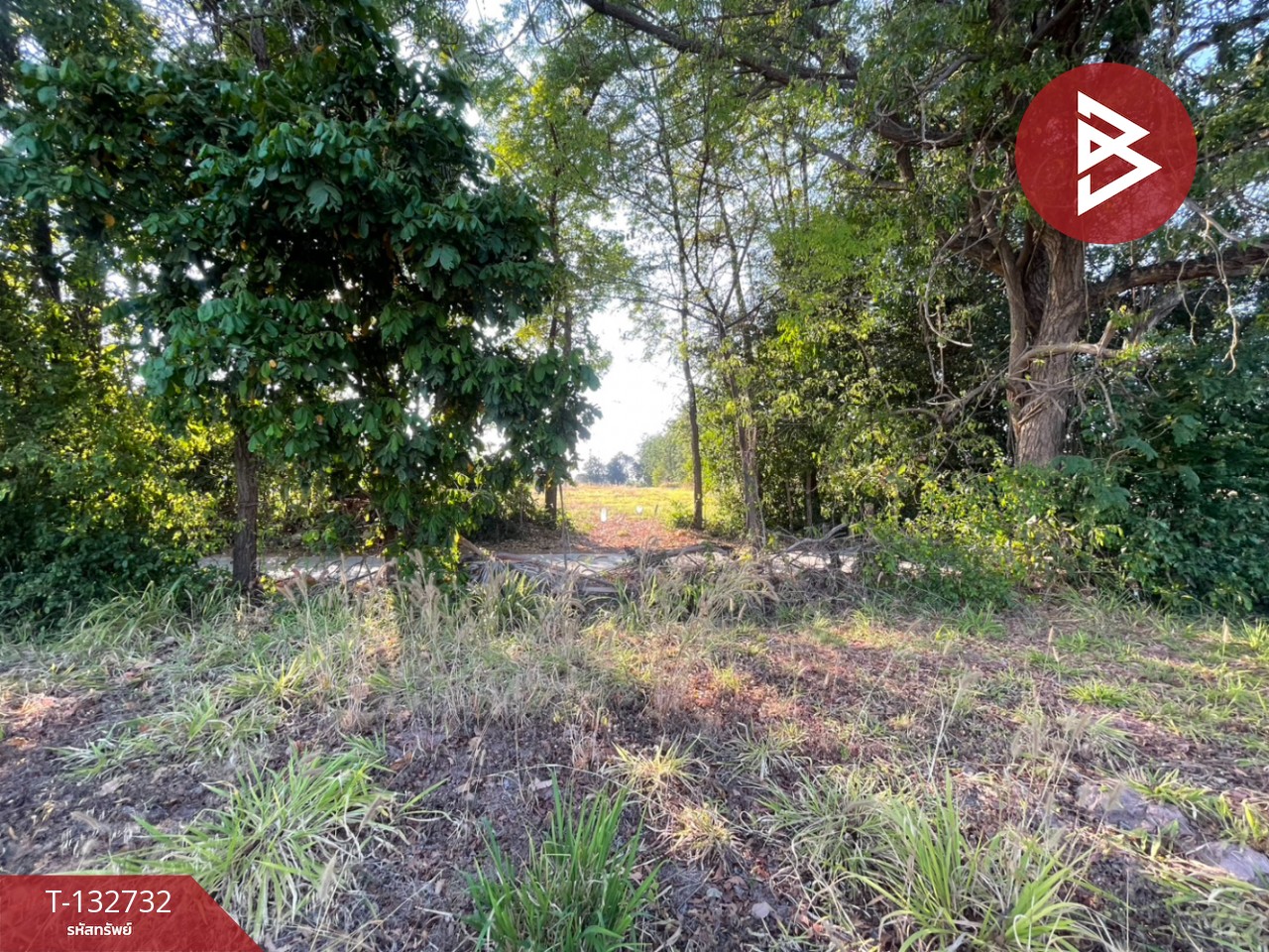 ขายที่ดิน เนื้อที่ 3 ไร่ 3 งาน 96 ตารางวา อ.บ้านไผ่ ขอนแก่น ทำเลดี ติดถนน 2 ด้าน 4