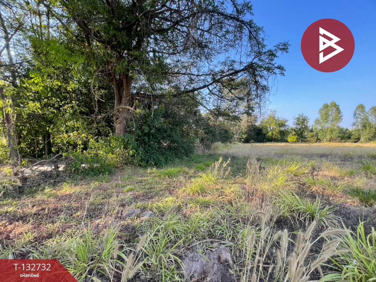 ขายที่ดิน เนื้อที่ 3 ไร่ 3 งาน 96 ตารางวา อ.บ้านไผ่ ขอนแก่น ทำเลดี ติดถนน 2 ด้าน 3