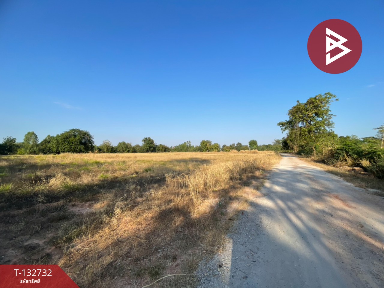 ขายที่ดิน เนื้อที่ 3 ไร่ 3 งาน 96 ตารางวา อ.บ้านไผ่ ขอนแก่น ทำเลดี ติดถนน 2 ด้าน 7