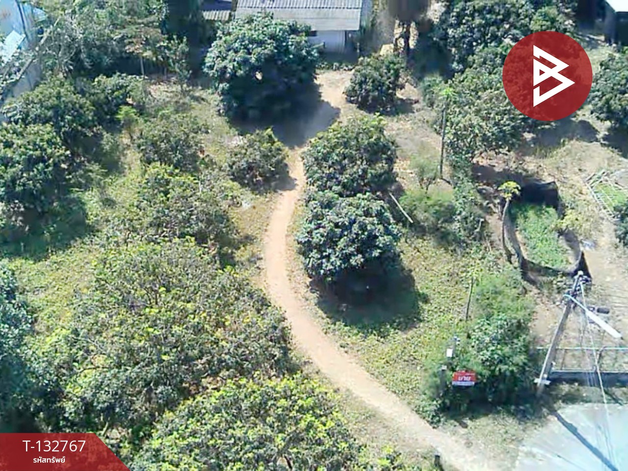 ขายที่ดิน เนื้อที่ 236 ตารางวา สารภี เชียงใหม่ 14