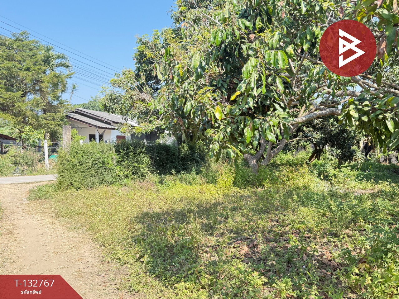 ขายที่ดิน เนื้อที่ 236 ตารางวา สารภี เชียงใหม่ 3