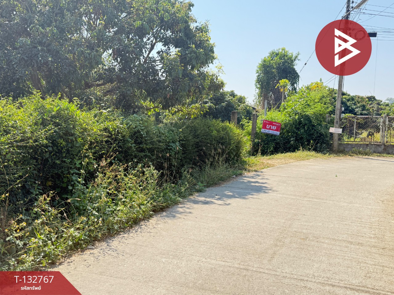 ขายที่ดิน เนื้อที่ 236 ตารางวา สารภี เชียงใหม่ 12