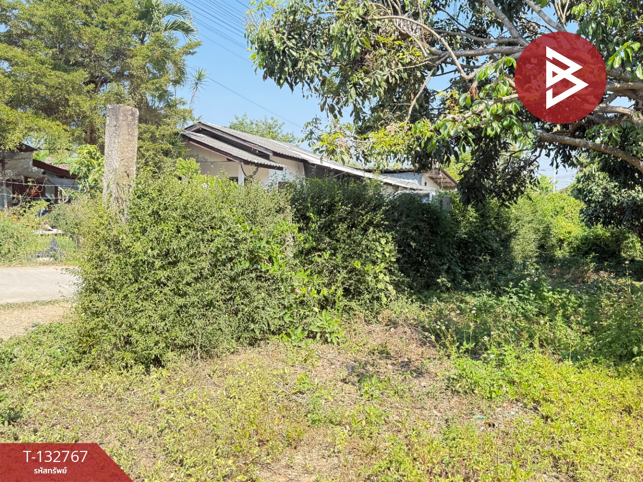 ขายที่ดิน เนื้อที่ 236 ตารางวา สารภี เชียงใหม่ 10