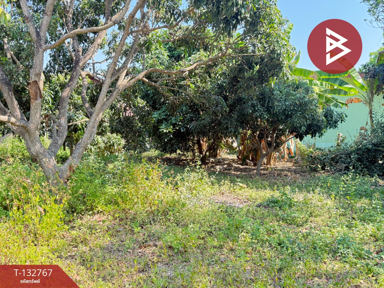 ขายที่ดิน เนื้อที่ 236 ตารางวา สารภี เชียงใหม่ 7