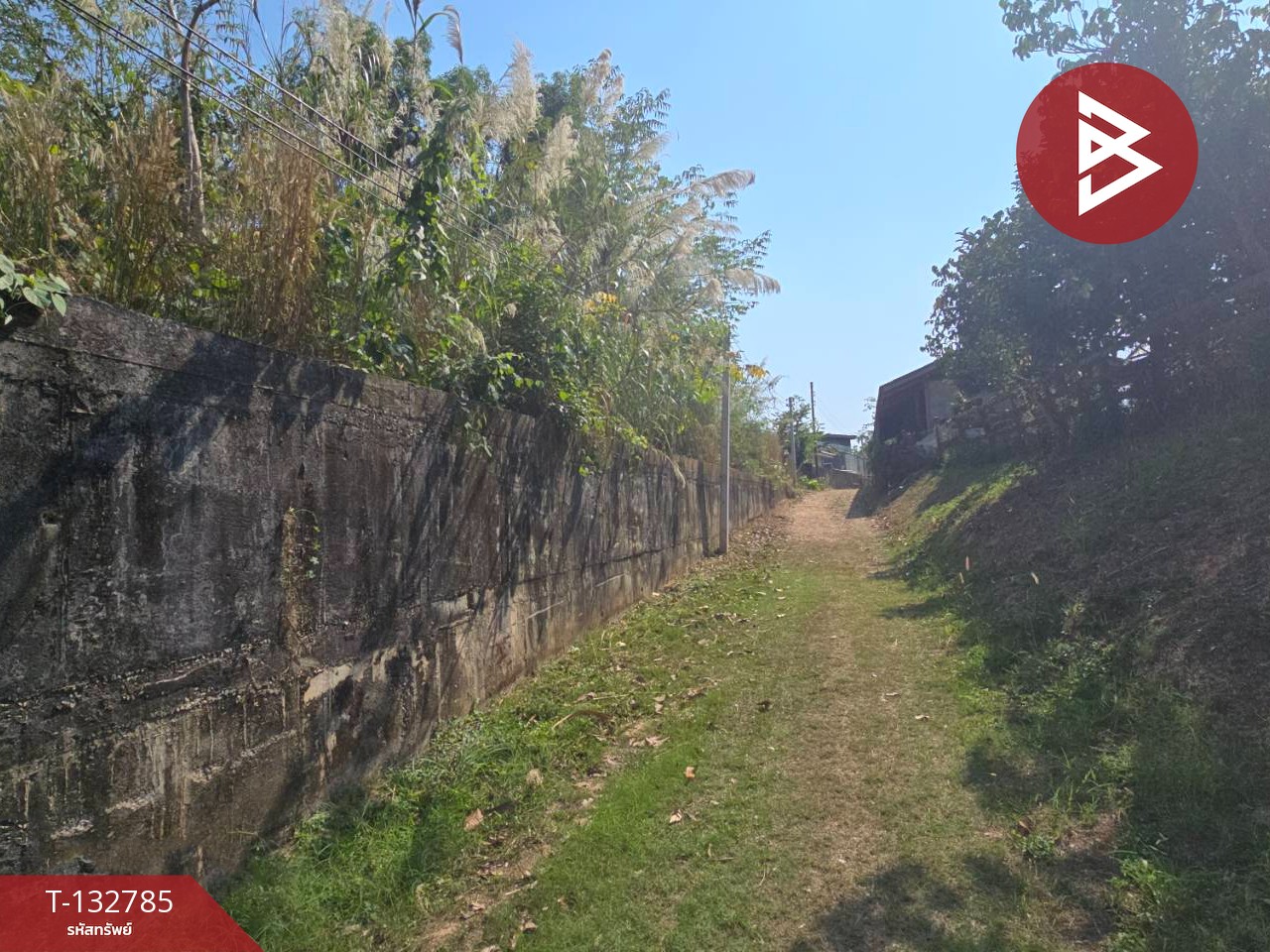 ขายที่ดิน เนื้อที่ 1 ไร่ 2 งาน 41.1 ตร.วา ท่าใหม่ จันทบุรี 11