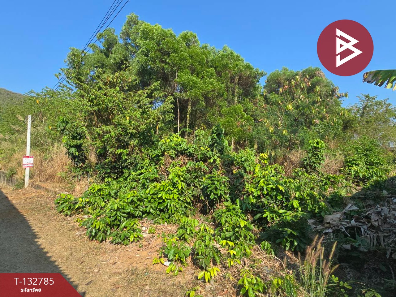 ขายที่ดิน เนื้อที่ 1 ไร่ 2 งาน 41.1 ตร.วา ท่าใหม่ จันทบุรี 13