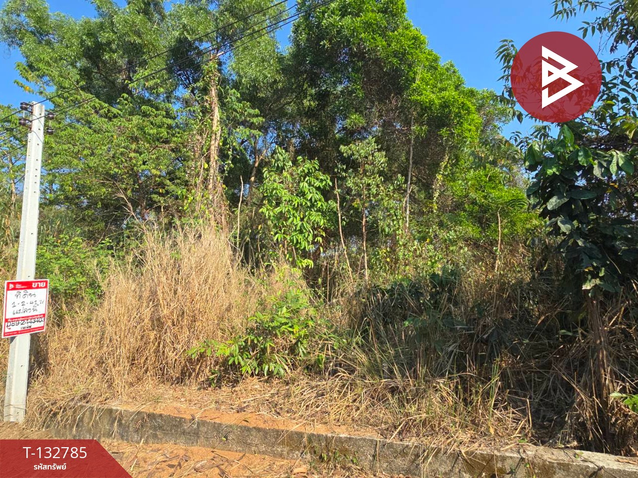 ขายที่ดิน เนื้อที่ 1 ไร่ 2 งาน 41.1 ตร.วา ท่าใหม่ จันทบุรี 9