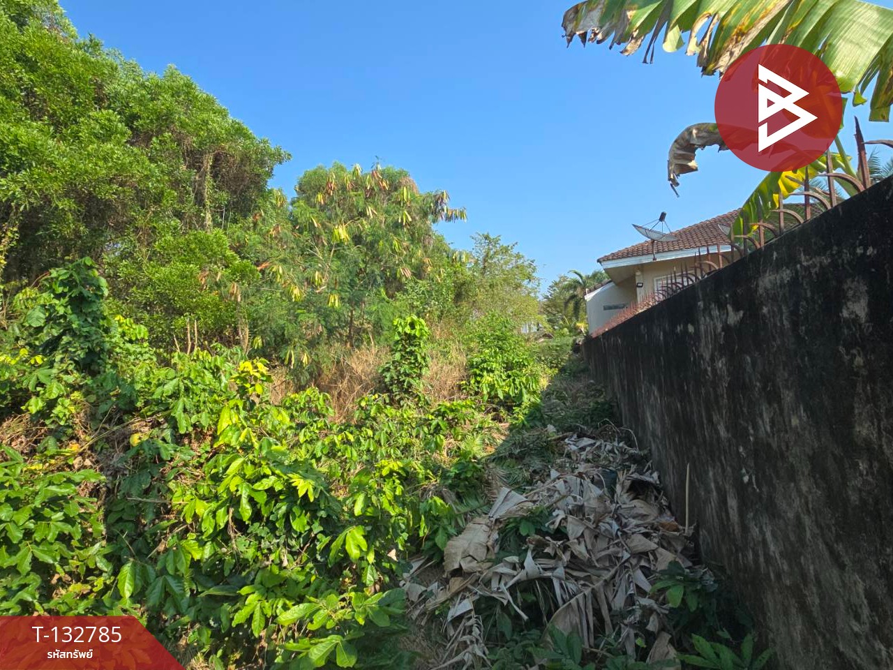 ขายที่ดิน เนื้อที่ 1 ไร่ 2 งาน 41.1 ตร.วา ท่าใหม่ จันทบุรี 10