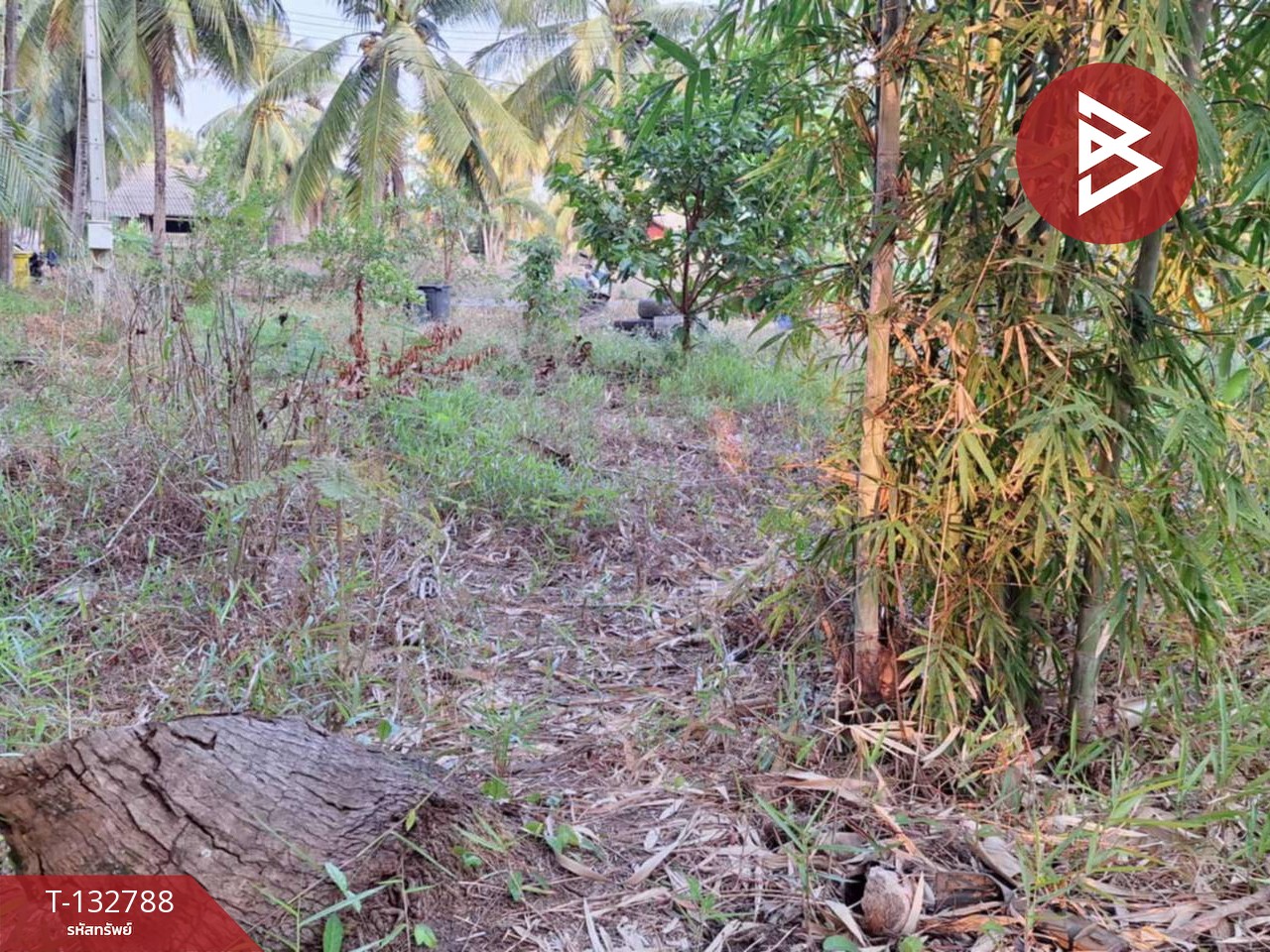 ขายที่ดิน เนื้อที่ 1 งาน 62.0 ตารางวา แหลมสิงห์ จันทบุรี 7